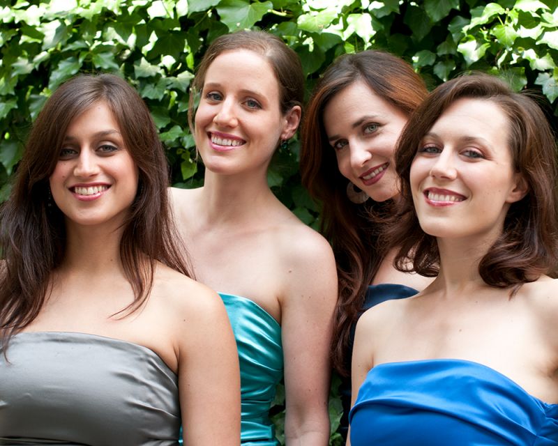 Les Brunettes